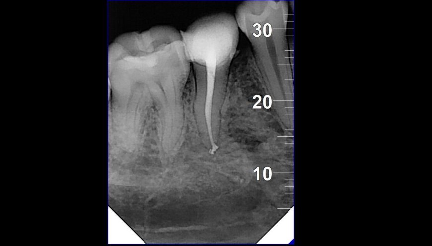 التفاصيل تصنع النجاح