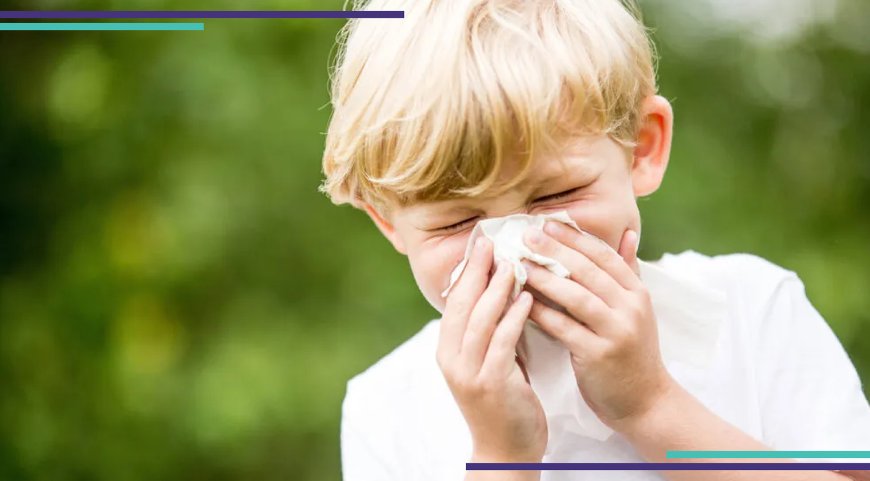 حساسية عثة الغبار